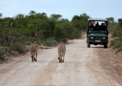 Safari vacation from UK to Namibia