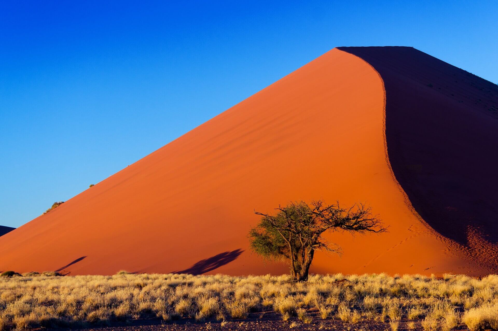 Experience wilderness in Namibia with NamibStar