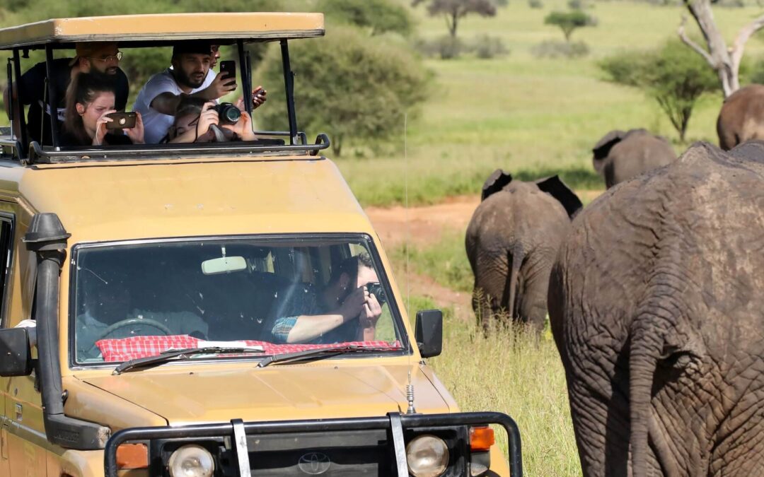 Family safari holidays in Namibia