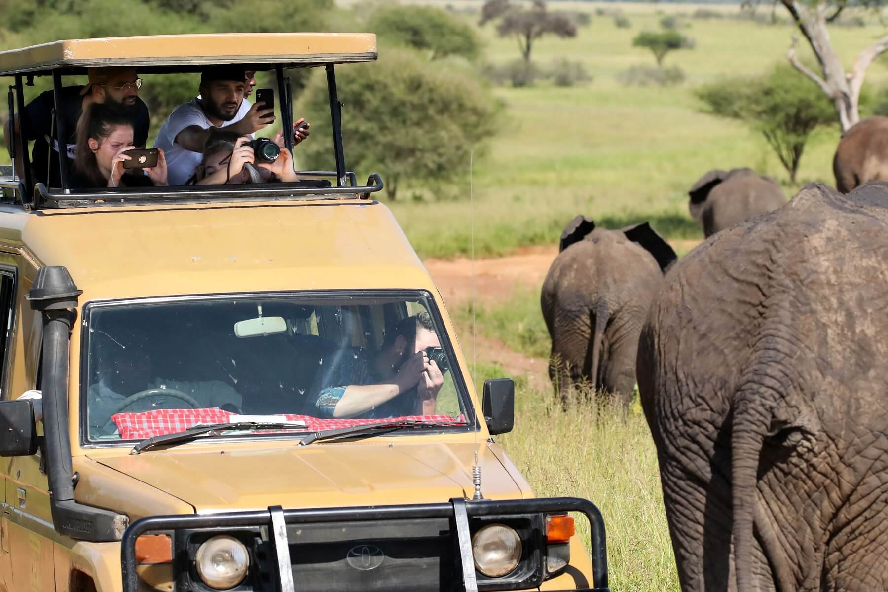 safari to africa cost