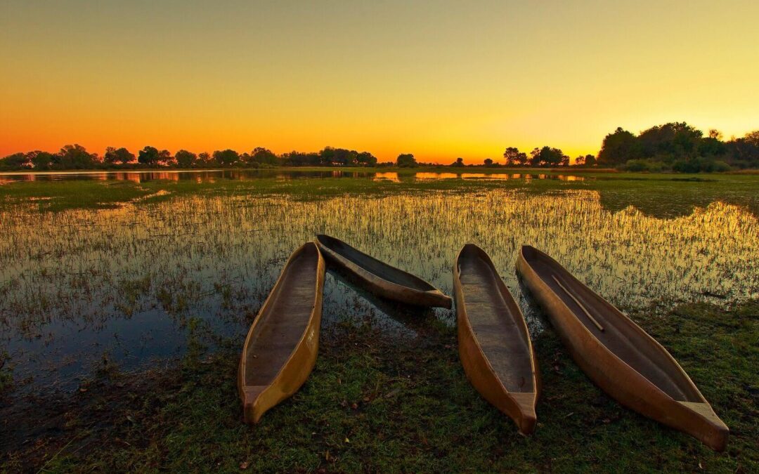 Why should you visit the Okavango Delta in Botswana